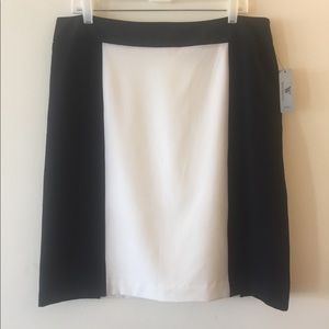 Pencil Skirt